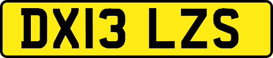 DX13LZS
