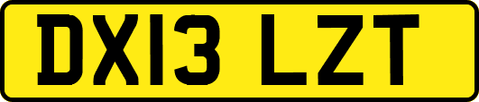 DX13LZT