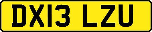 DX13LZU