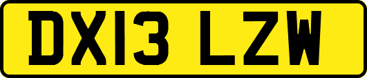 DX13LZW
