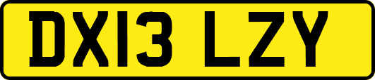 DX13LZY