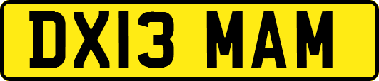 DX13MAM