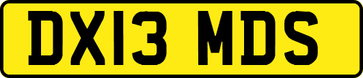 DX13MDS