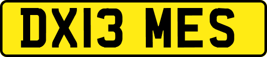 DX13MES
