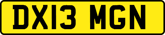 DX13MGN