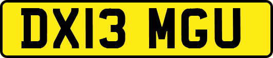 DX13MGU