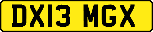 DX13MGX