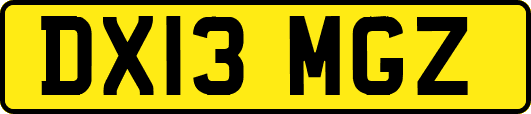 DX13MGZ