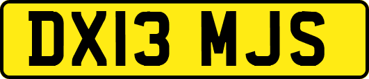 DX13MJS