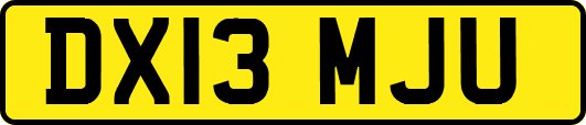DX13MJU
