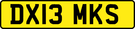 DX13MKS