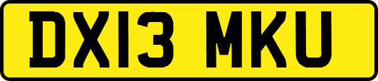 DX13MKU