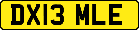 DX13MLE