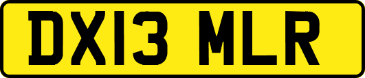 DX13MLR