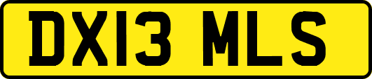 DX13MLS