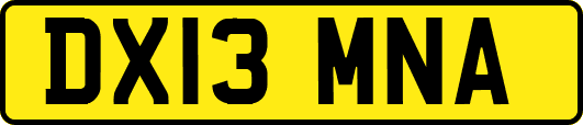 DX13MNA