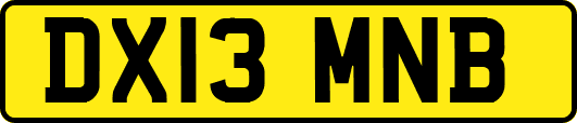 DX13MNB