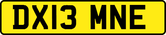 DX13MNE