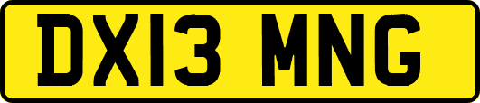 DX13MNG