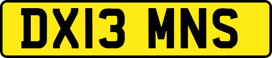 DX13MNS