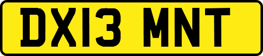 DX13MNT