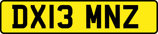 DX13MNZ