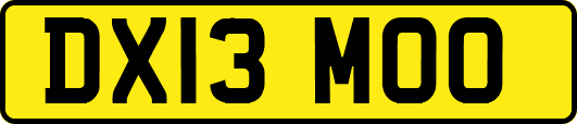 DX13MOO