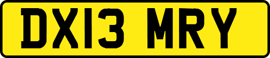 DX13MRY