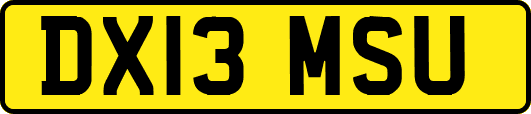 DX13MSU