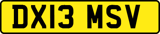 DX13MSV