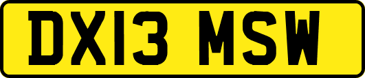 DX13MSW