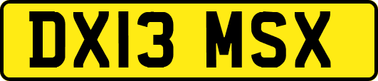 DX13MSX