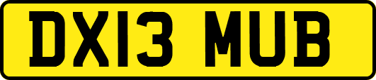 DX13MUB