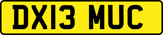 DX13MUC
