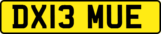 DX13MUE