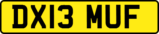 DX13MUF