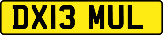 DX13MUL