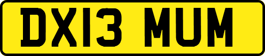 DX13MUM