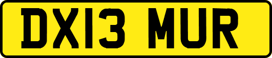 DX13MUR