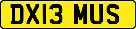 DX13MUS
