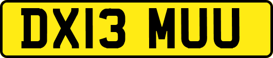 DX13MUU