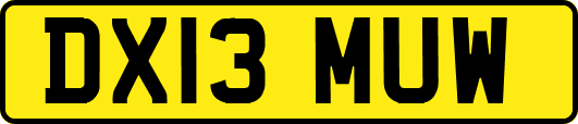 DX13MUW