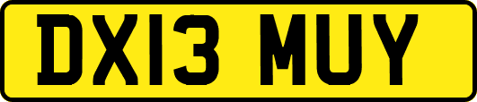 DX13MUY