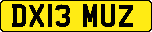 DX13MUZ