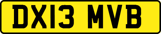DX13MVB