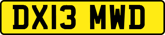 DX13MWD