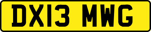 DX13MWG