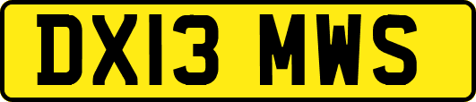 DX13MWS