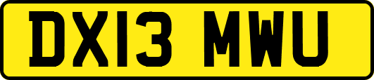DX13MWU