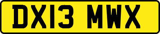 DX13MWX